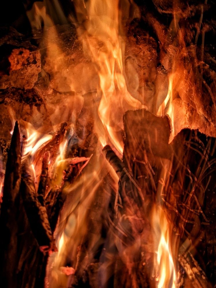 Photograph by Alex GoodWin