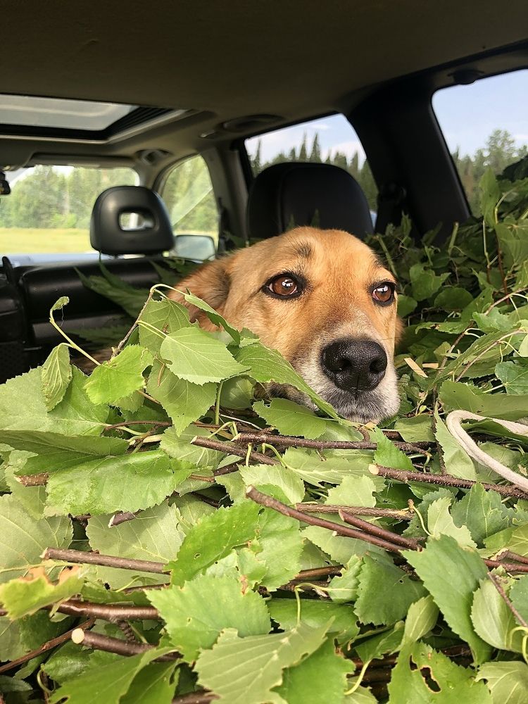 Photograph by Ирина Селиверстова