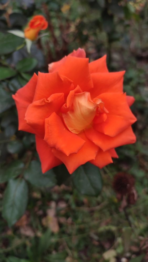 Photograph by Анастасия Кудина