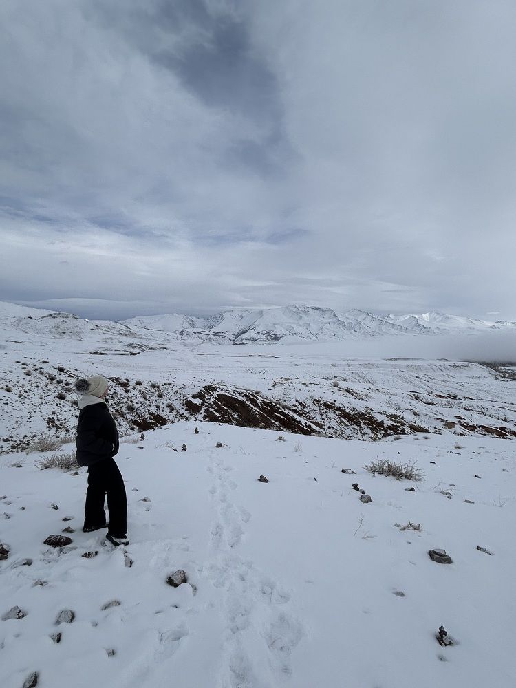 Photograph by Лариса