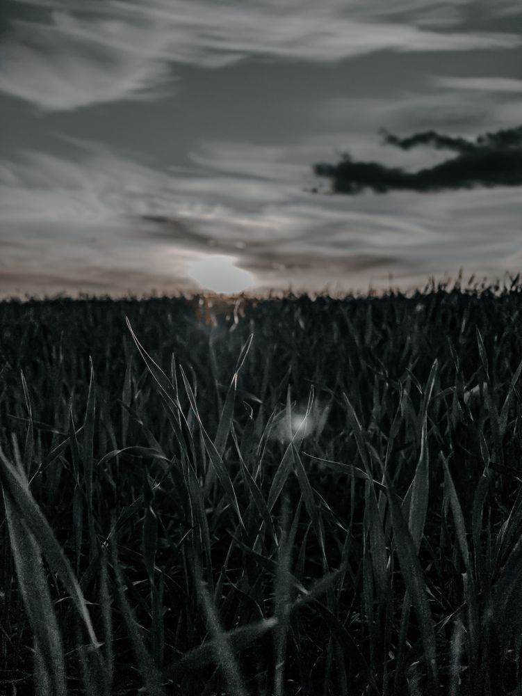 Photograph by Alex GoodWin