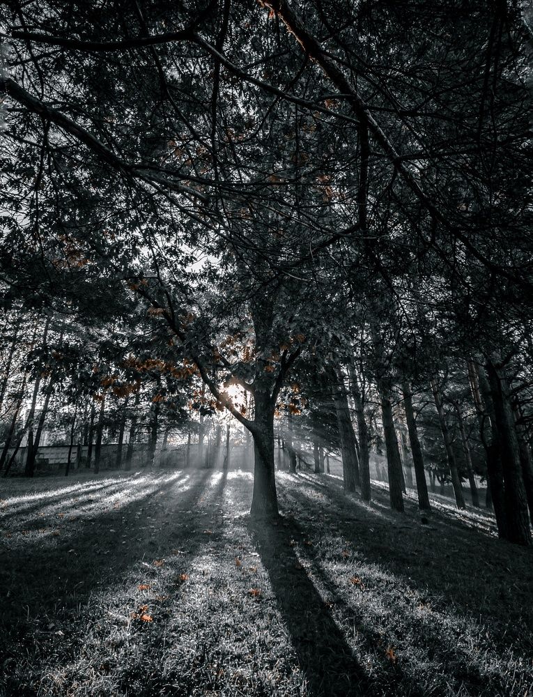 Photograph by Alex GoodWin