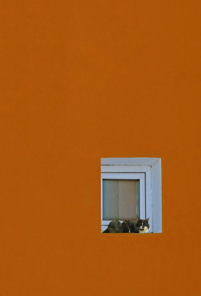 Photograph by Духанин Сергей