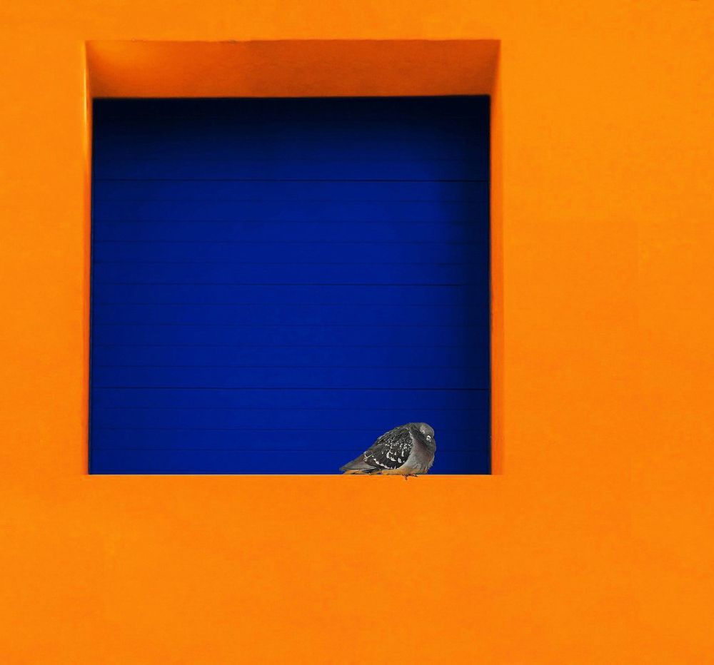 Photograph by Духанин Сергей