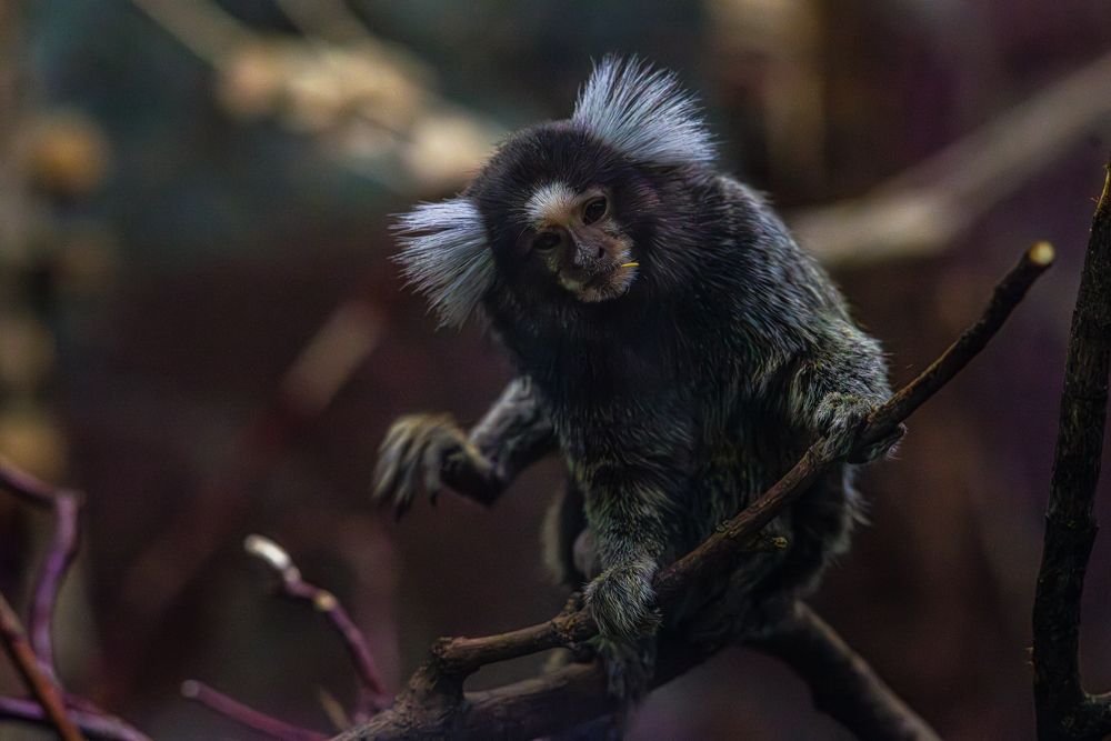 Photograph by sasha nikolaev