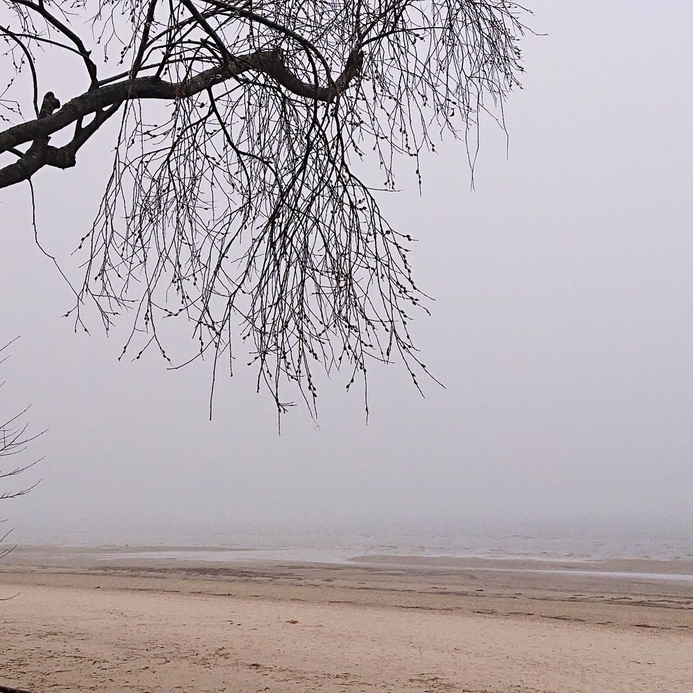 Photograph by Лидия Горностаева
