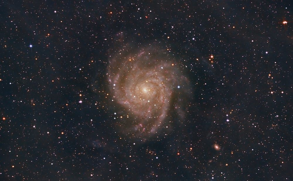 IC342 - The Hidden Galaxy.