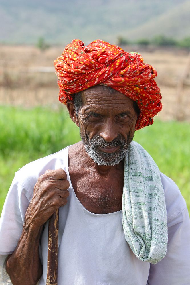 Фотография автора Abie Davies Thekkanath