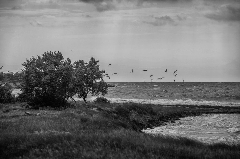 Фотография автора Онучина Юлия