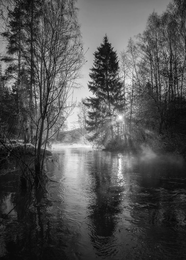 Фотография автора Онучина Юлия