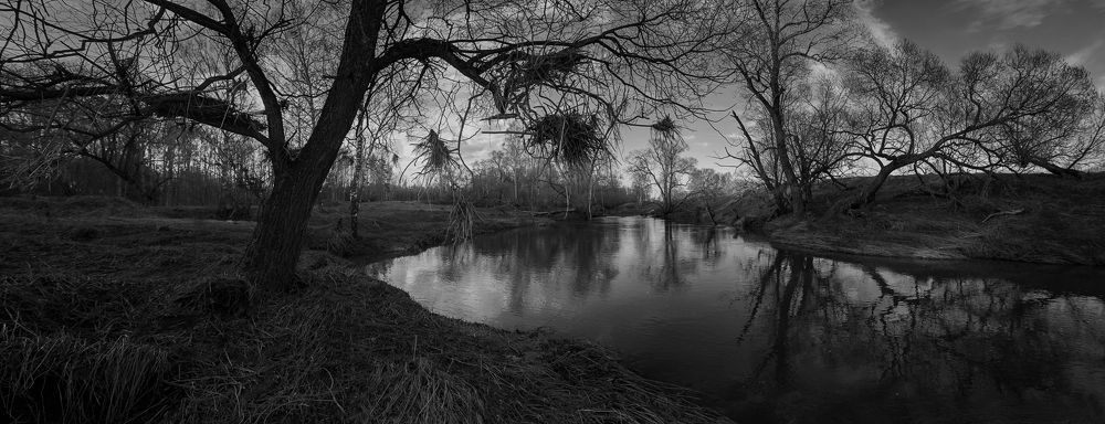 Фотография автора Онучина Юлия