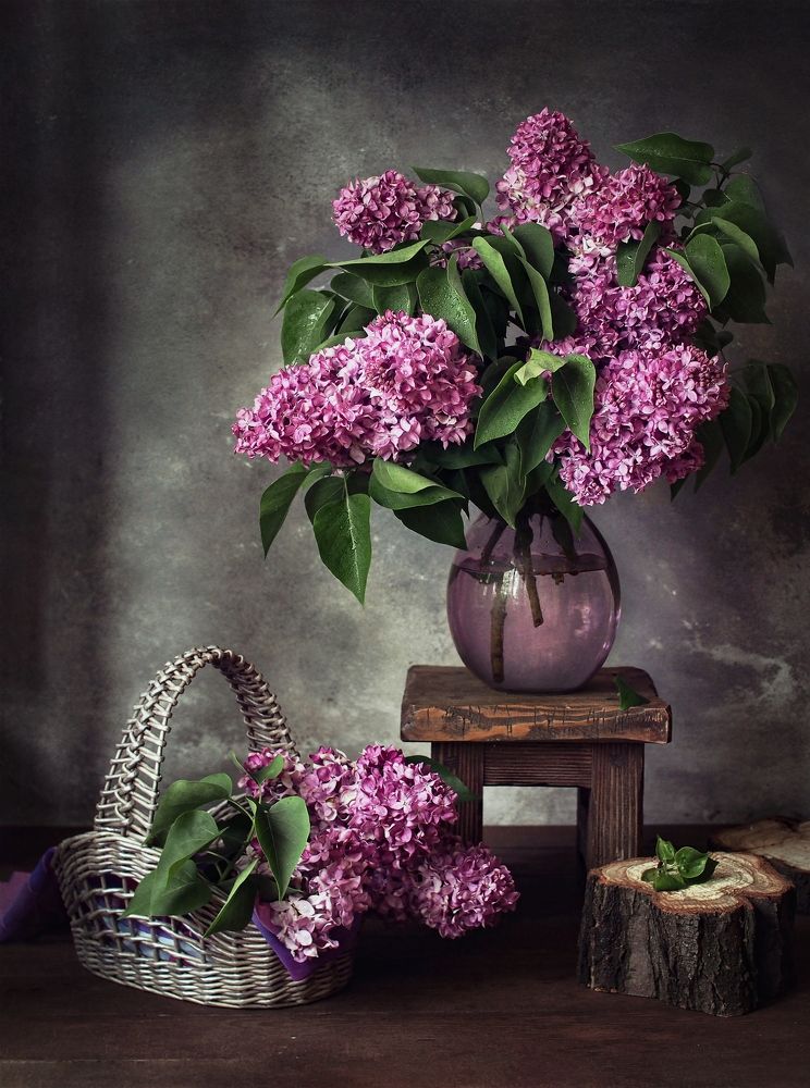 Фотография автора Svetlana Inyusheva