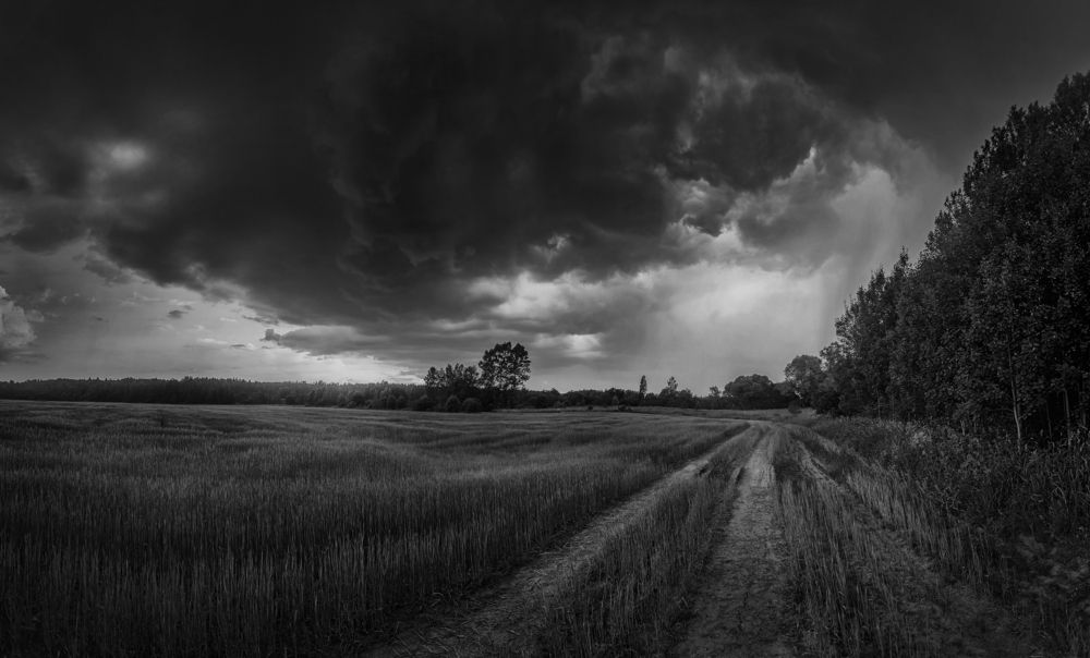 Фотография автора Онучина Юлия