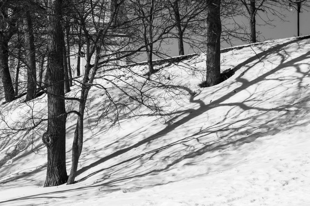 Photograph by Надежда