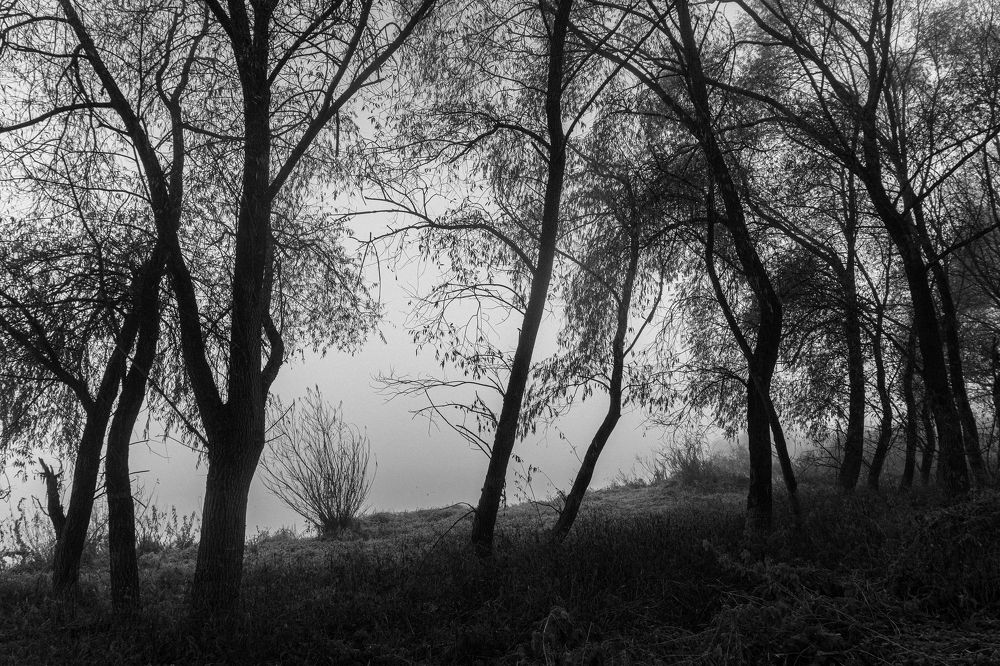 Photograph by Надежда