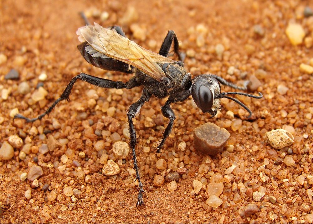 Photograph by Павел Колеснев