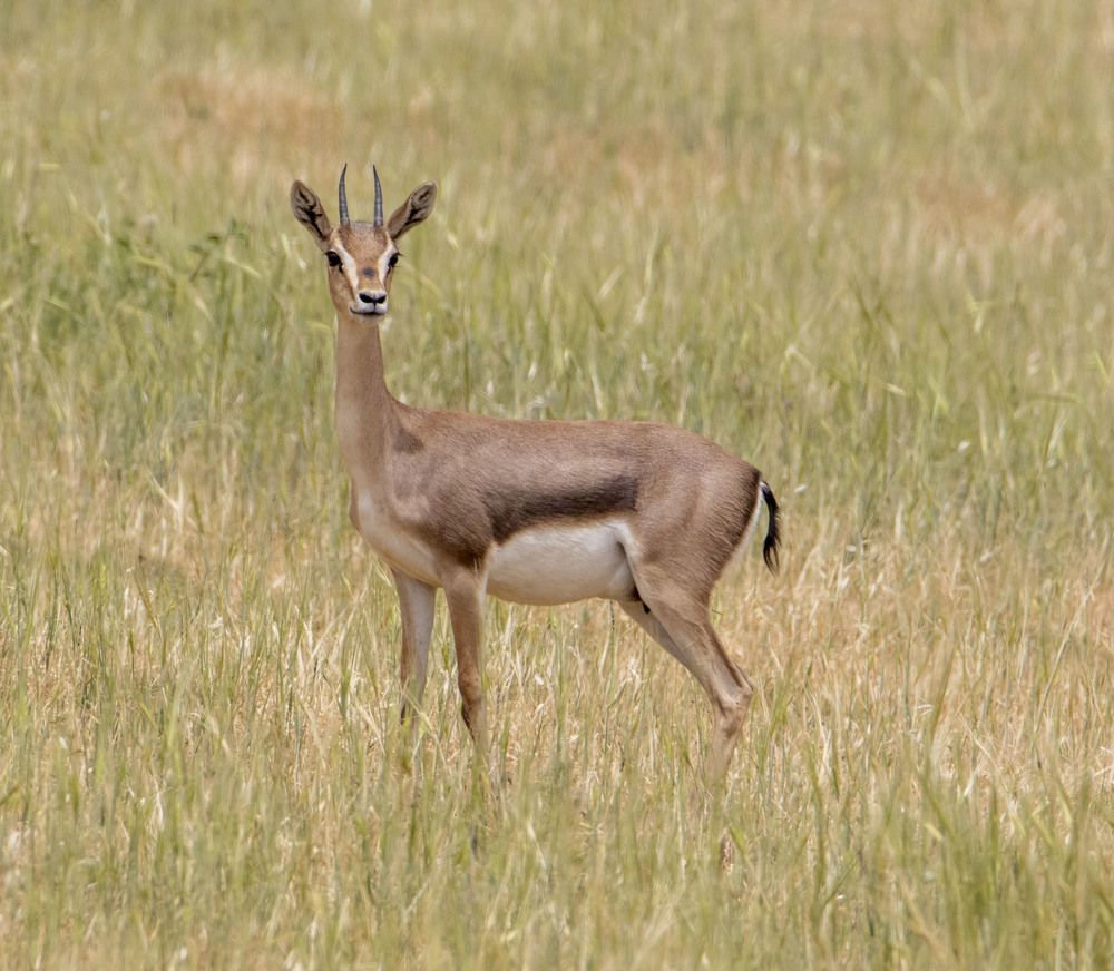 Photograph by Валентина Лопаткина