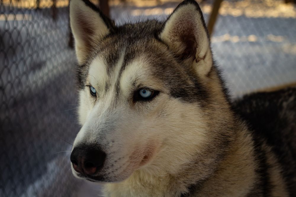 Photograph by Сергей Михайлов