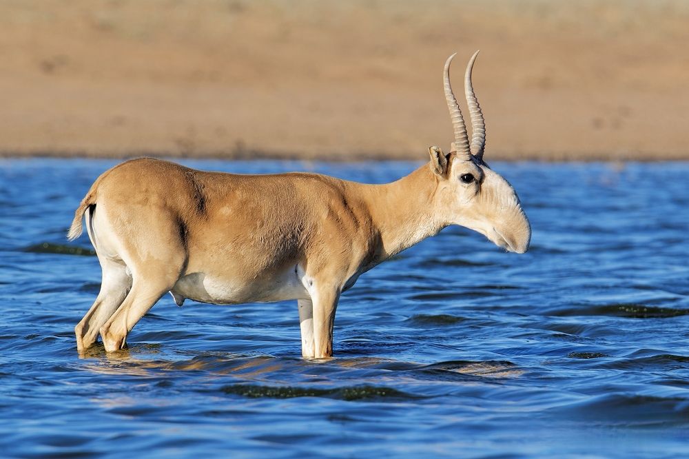 Photograph by Антон Громов