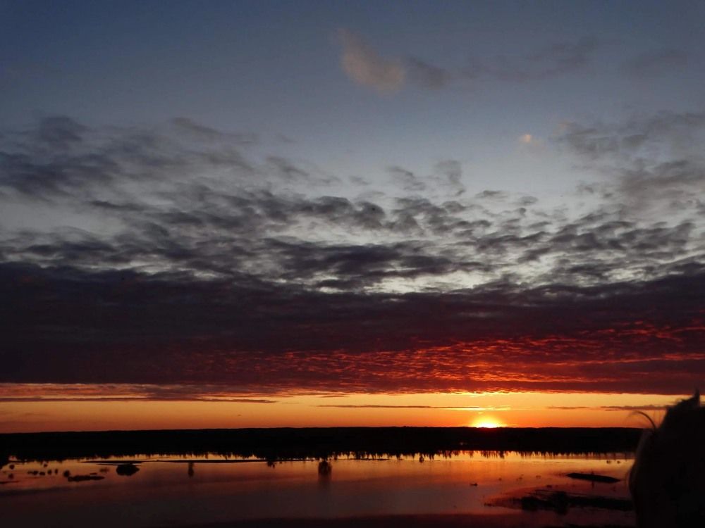 Photograph by Анжелика Трошина