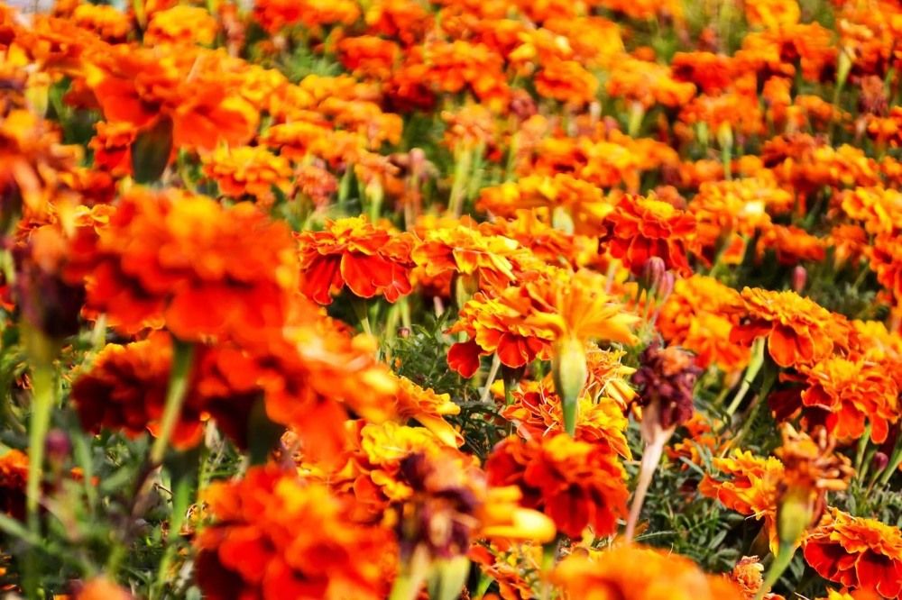 Photograph by Анжелика Трошина