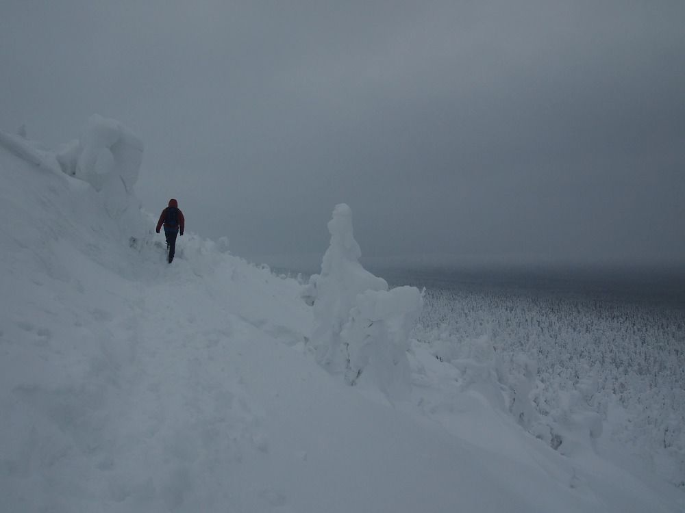 Photograph by Юлия