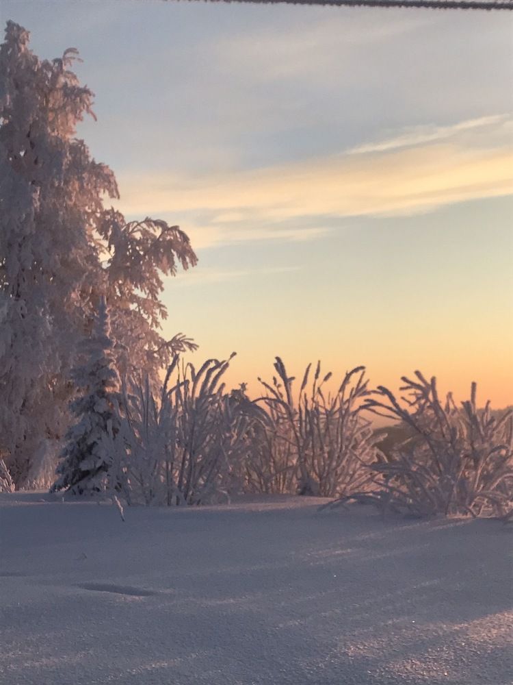 Photograph by Юлия