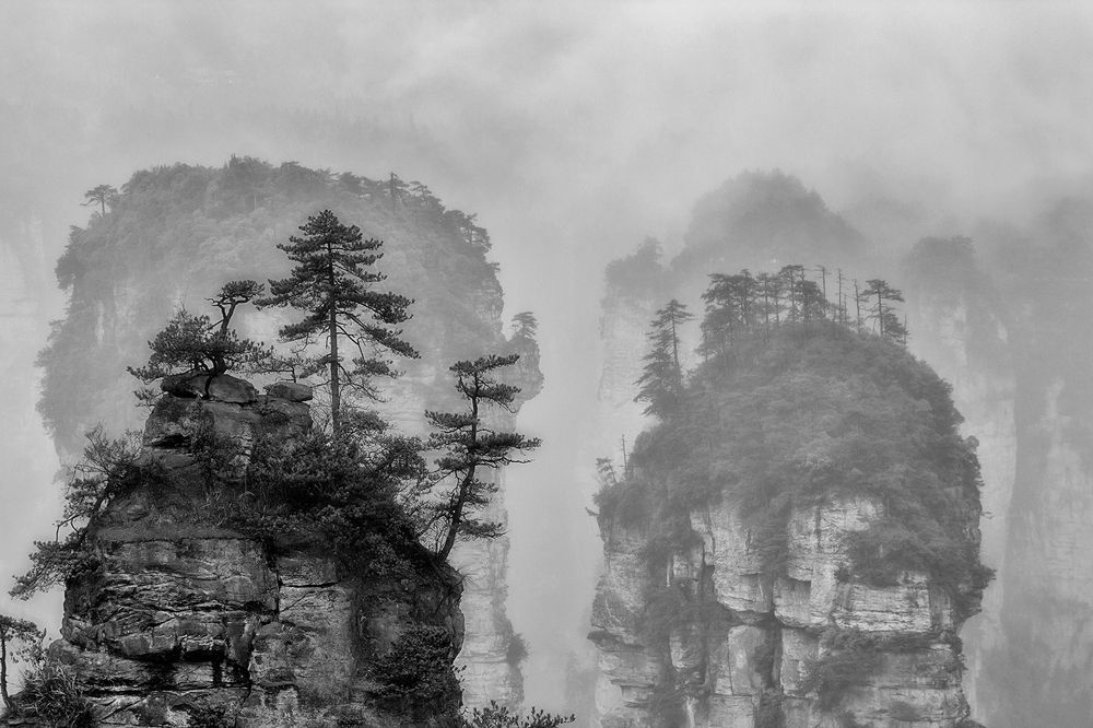 Photograph by Александр Чазов