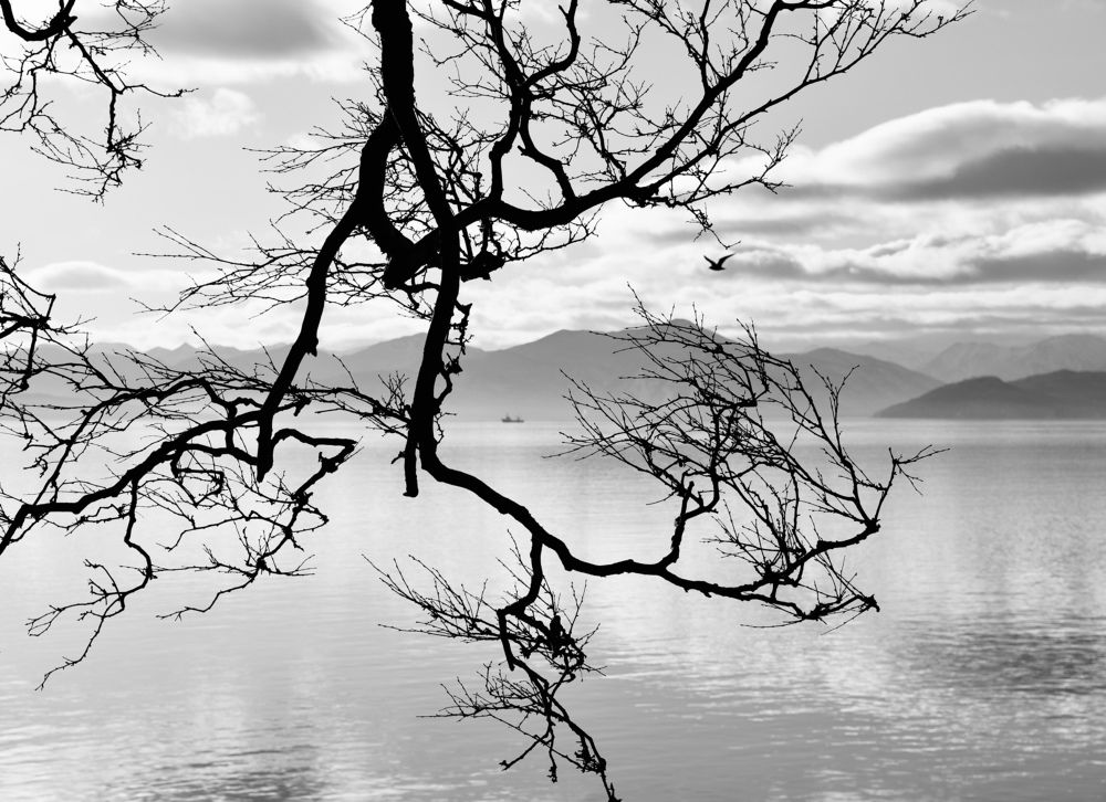 Photograph by Ольга Струкалина