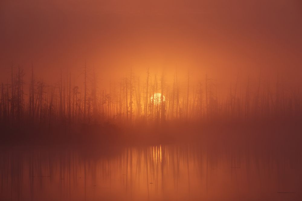 Photograph by Иван Чаланов