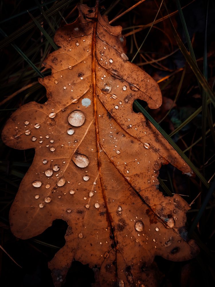 Photograph by Олег Догонов