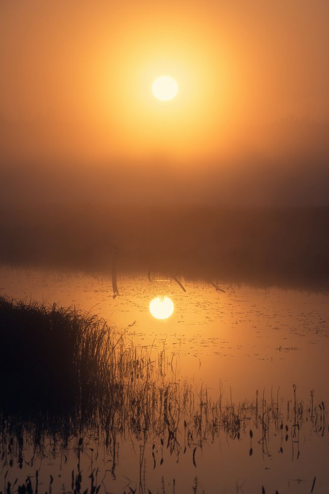 Photograph by Иван Чаланов