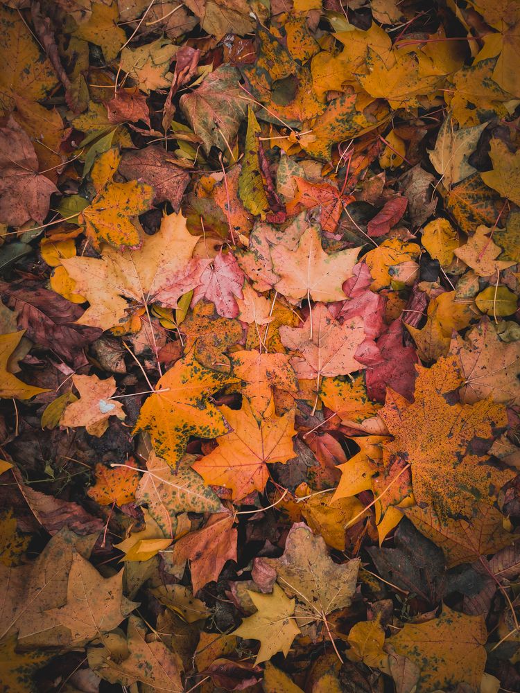 Photograph by Олег Догонов