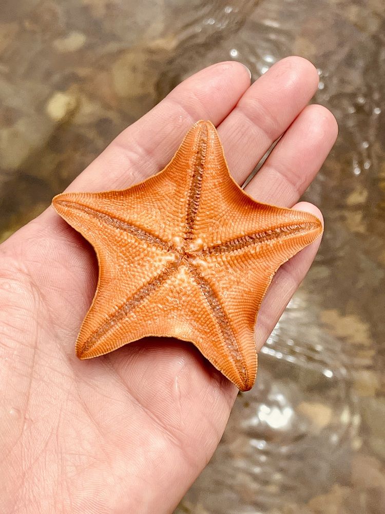 Photograph by Ольга Дорошенко