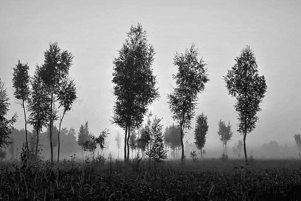 Photograph by Cергей Абакумов