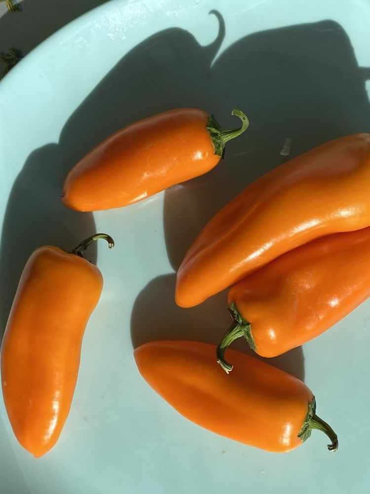 Фотография автора Ирина Костюкевич