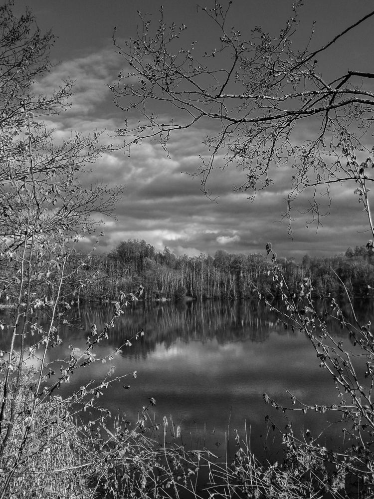 Photograph by Оксана Артимович