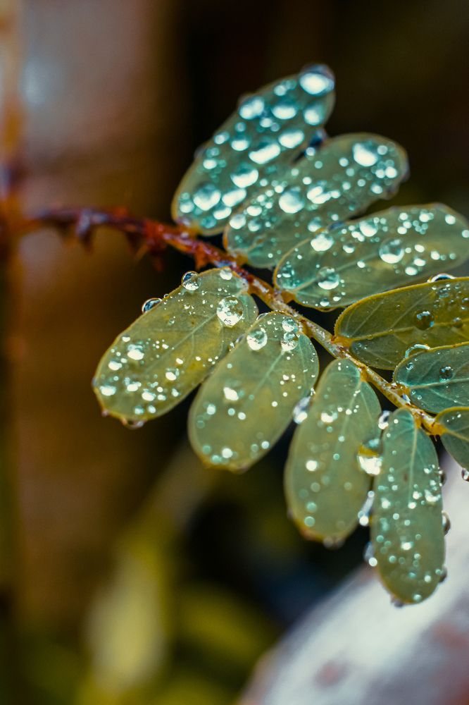Photograph by OTABIT