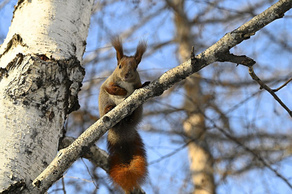 Photograph by Ольга Воронова