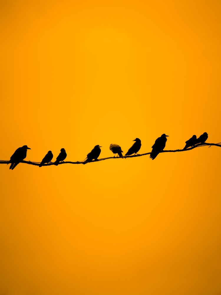 Photograph by Konstantin Martynov