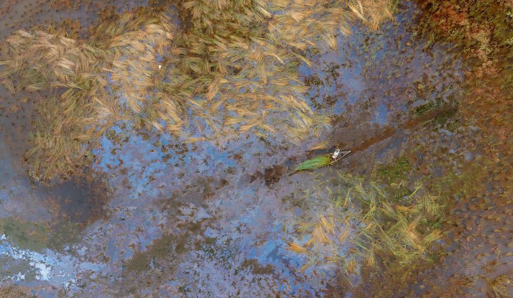 Photograph by Leduy Mai