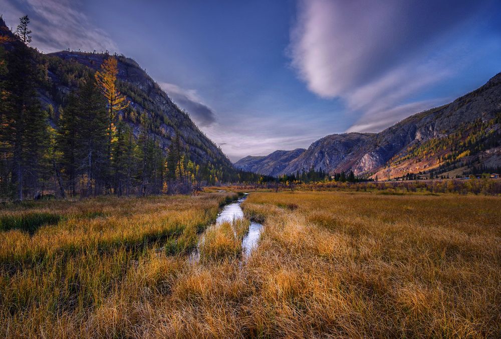 Photograph by Чичкин Валерий