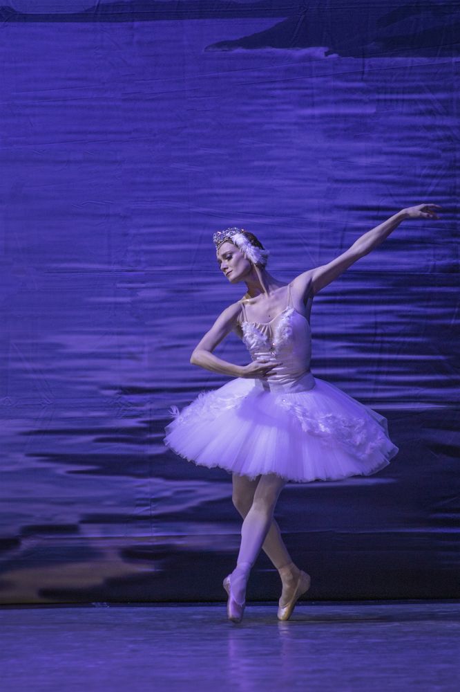 Photograph by Светлана Тарханова