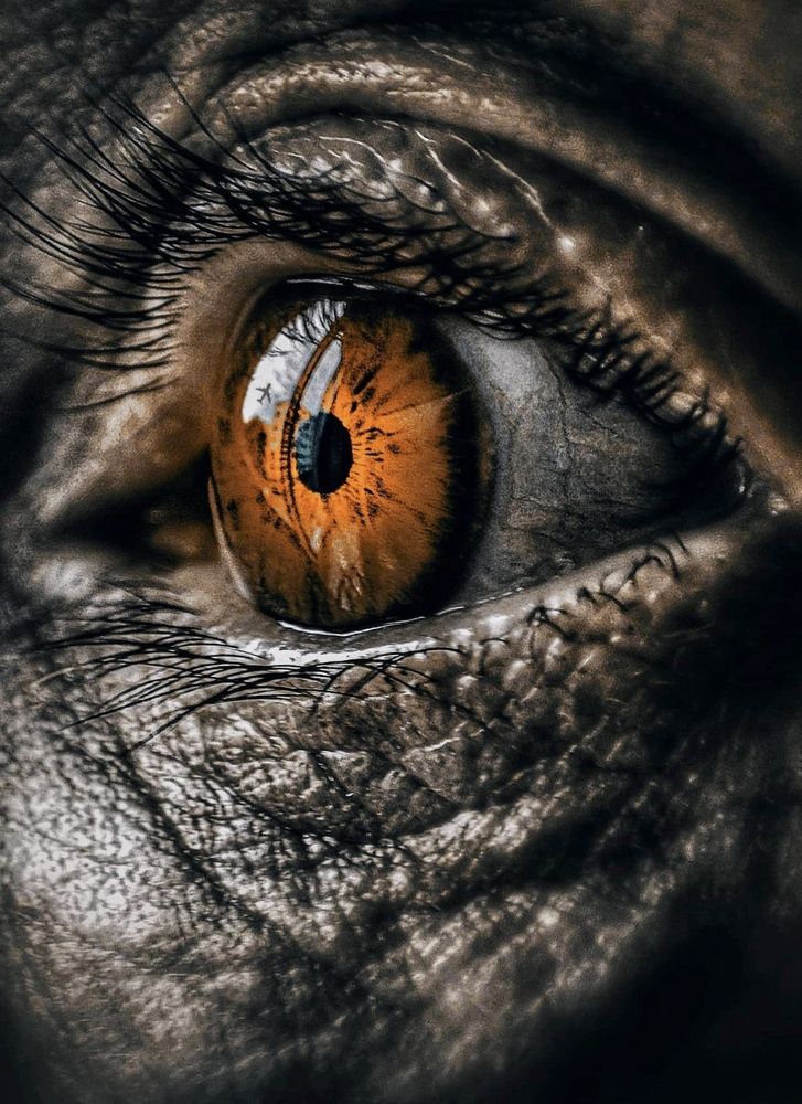 Photograph by Konstantin Martynov