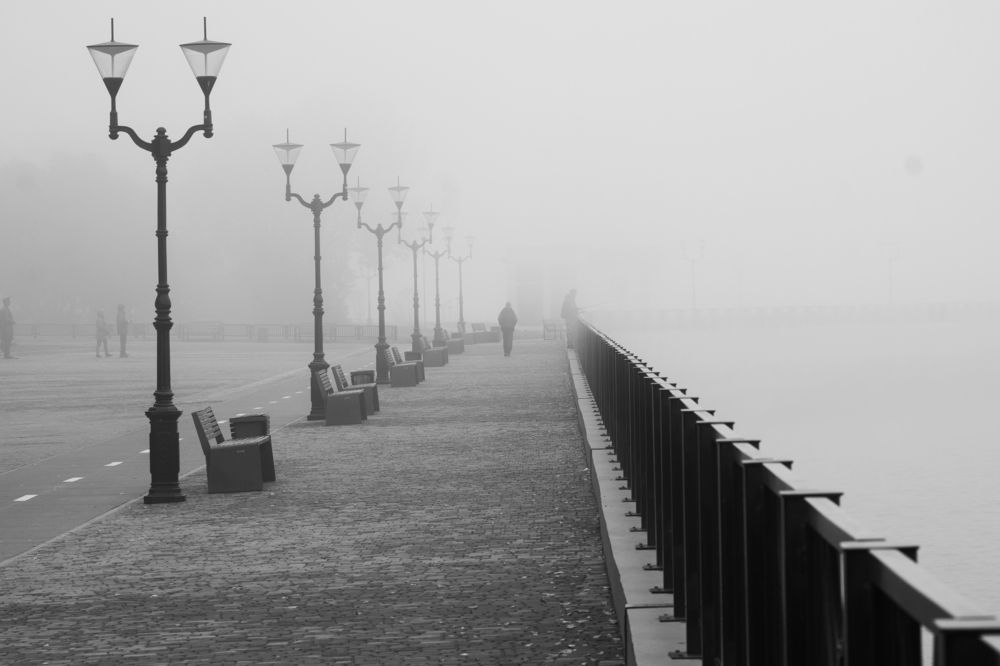 Без названия..