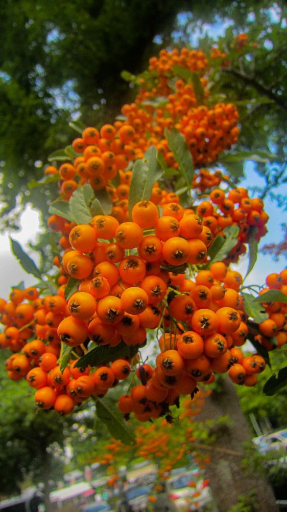 Photograph by Ineta Osipoviča