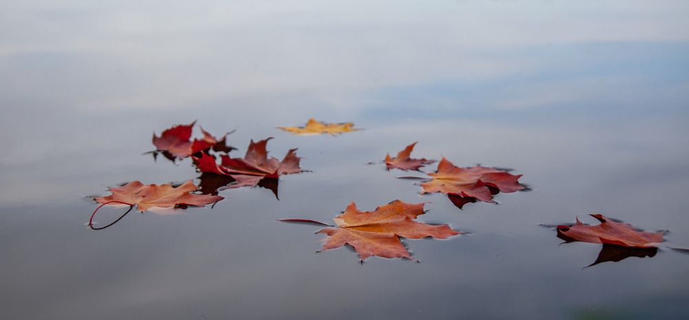 Photograph by Ineta Osipoviča