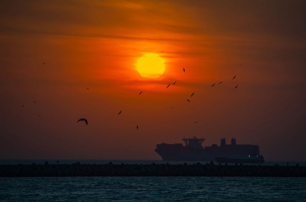 Photograph by Sveta_Poln