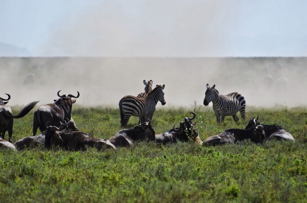 Photograph by Татьяна