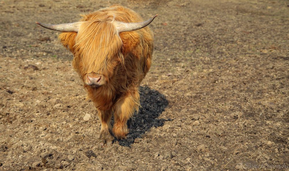 Photograph by Ineta Osipoviča